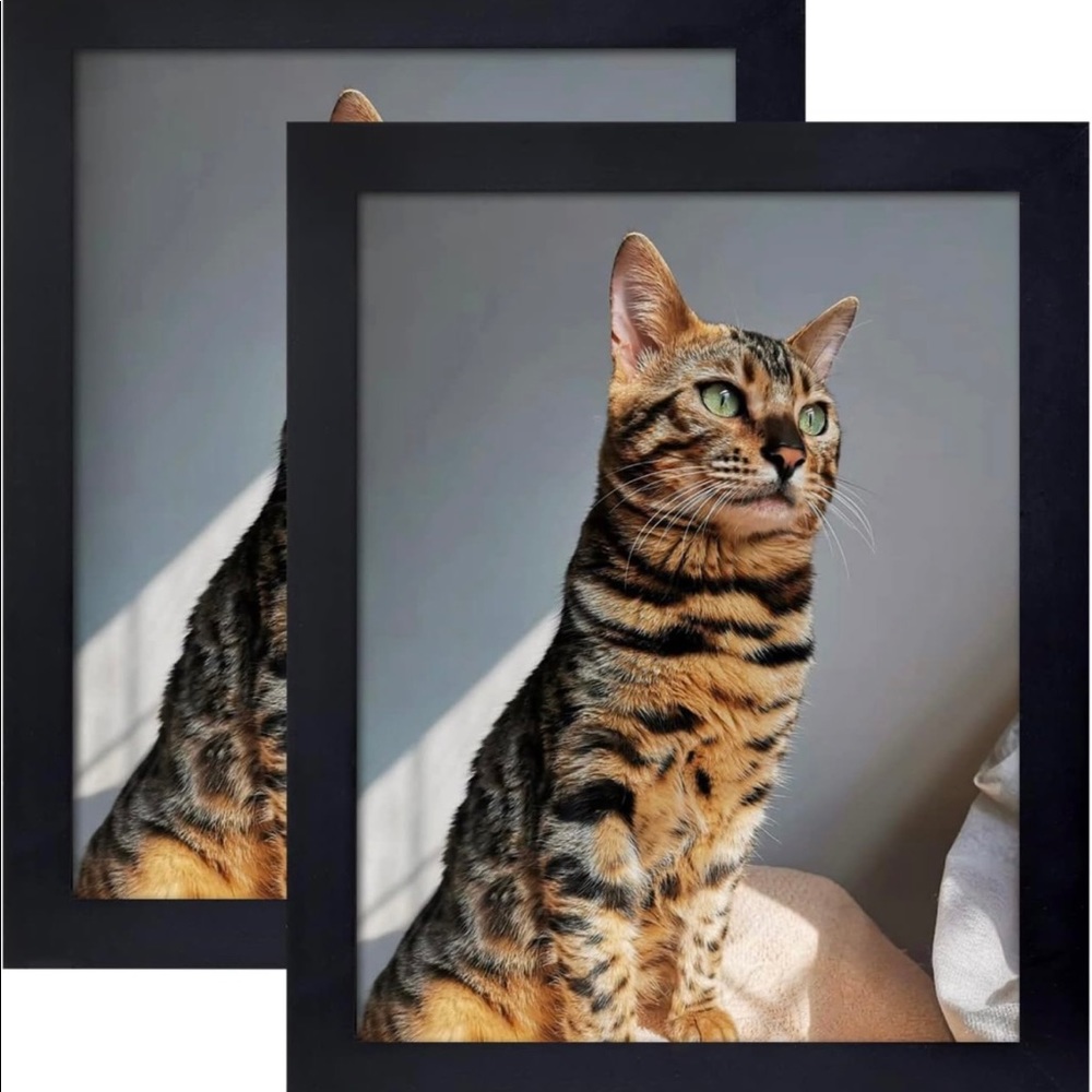 Picture frame tabletop 8x10 , 4 pcs - Black